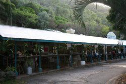 Ellis Beach Bar & Grill - Inverell Accommodation 1