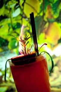 La Scala On Jersey - Inverell Accommodation 2