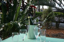 Ellis Beach Bar & Grill - Inverell Accommodation 3