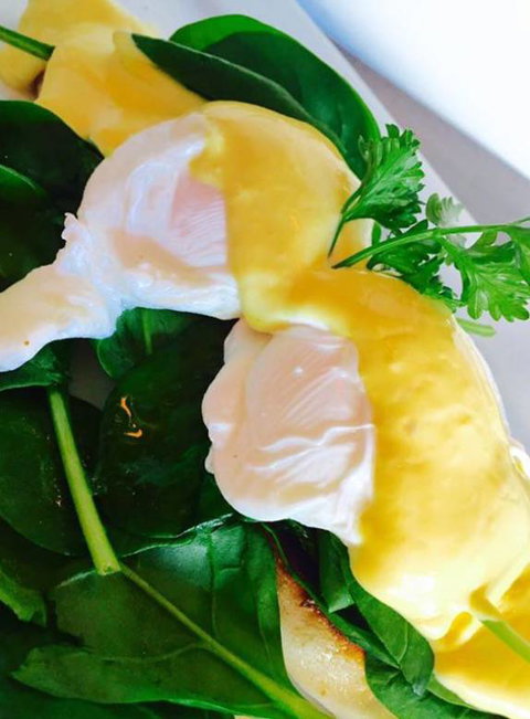 The Juniors - Inverell Accommodation 4