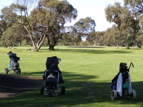 Minlaton Golf Club - Inverell Accommodation 3