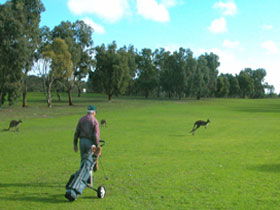 Coffin Bay Golf Club - Inverell Accommodation 0