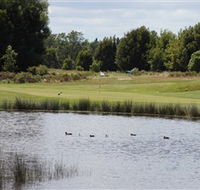 Llanherne Golf Club - Inverell Accommodation