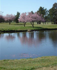 RMC Golf Club - Inverell Accommodation 0