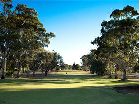 Loxton SA Inverell Accommodation