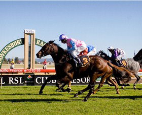 Hawkesbury Race Club - Inverell Accommodation 1