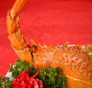 Marigold - Inverell Accommodation