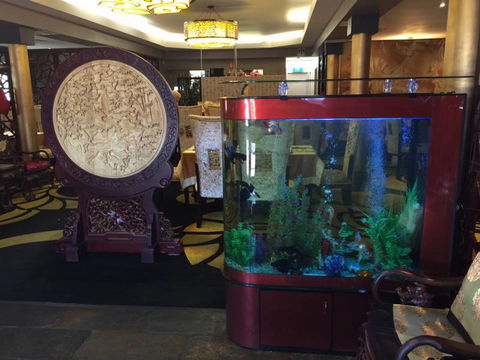 Dragon Palace - Inverell Accommodation 4