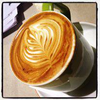 Department Of Coffee - Inverell Accommodation 4