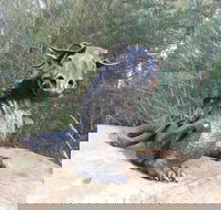 Bathurst Arts Trail - Inverell Accommodation