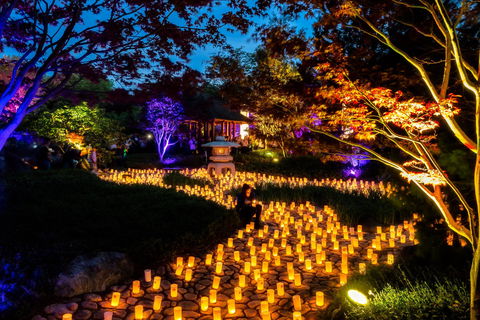 Canberra Nara Candle Festival - Inverell Accommodation 0