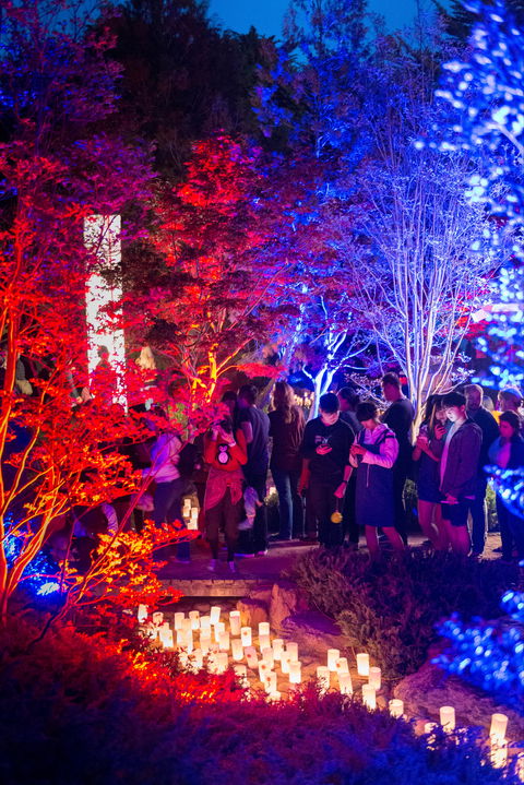 Canberra Nara Candle Festival - Inverell Accommodation 1
