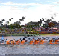 Jacaranda Dragon Boat Races - Inverell Accommodation