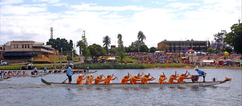 Jacaranda Dragon Boat Races - Inverell Accommodation 0