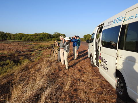 Kakadu Bird Week Tours & Cruises - Inverell Accommodation 1