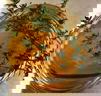 Online live streaming class DIY Skincare Products - Inverell Accommodation