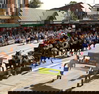 Scone Horse Festival - Inverell Accommodation