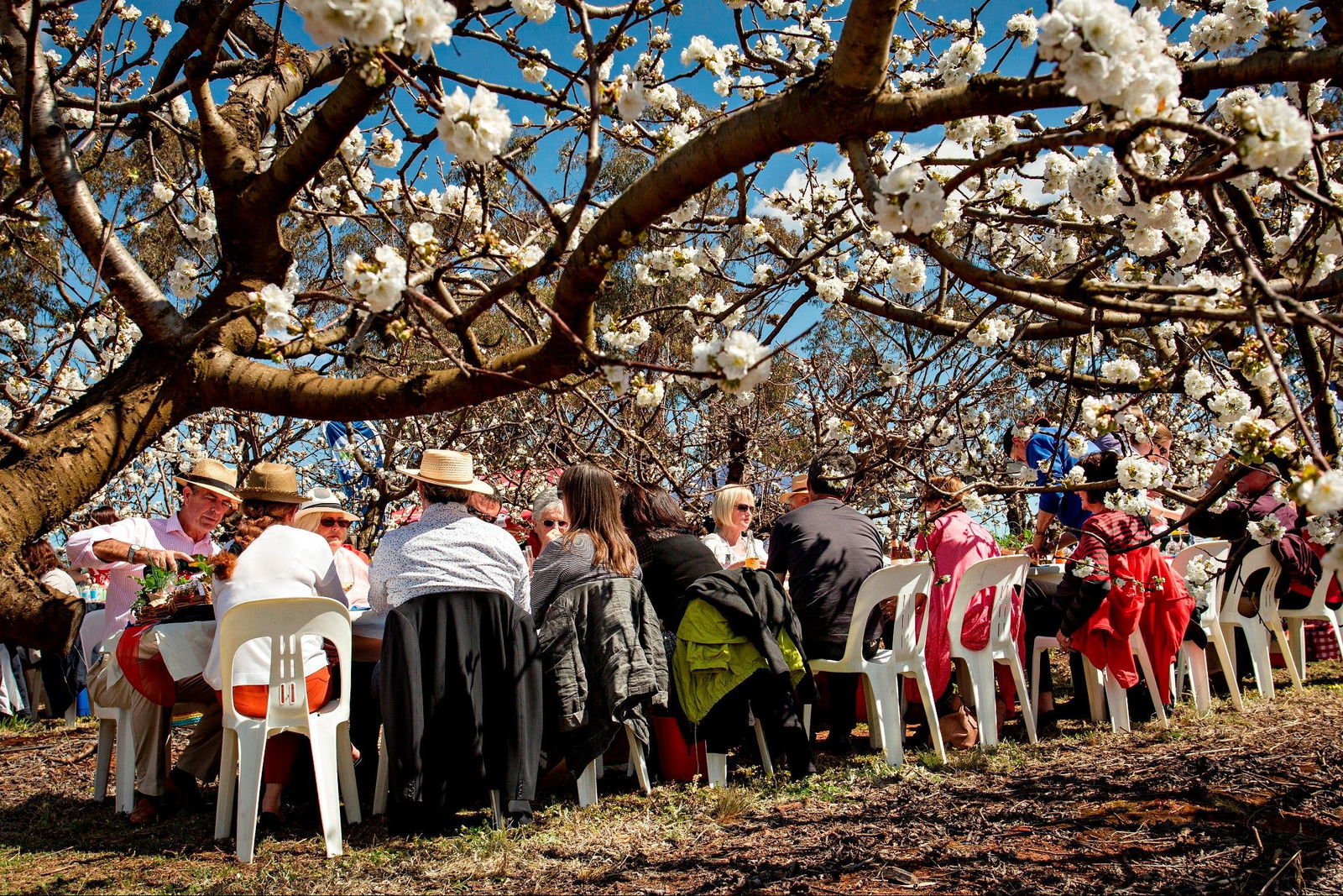 Tubbul NSW Inverell Accommodation