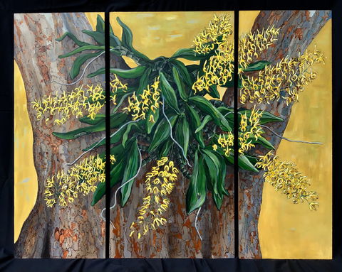 A Still Life - Solo Exhibition  Karen Sedaitis - Inverell Accommodation 1