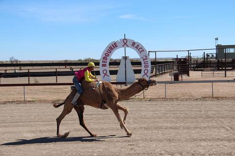 Bedourie Camel And Pig Races And Camp Oven Cook-off - Inverell Accommodation 0