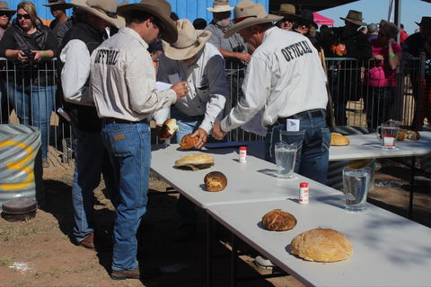 Bedourie Camel And Pig Races And Camp Oven Cook-off - Inverell Accommodation 2