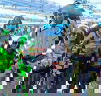 Boo at the Zoo - Inverell Accommodation