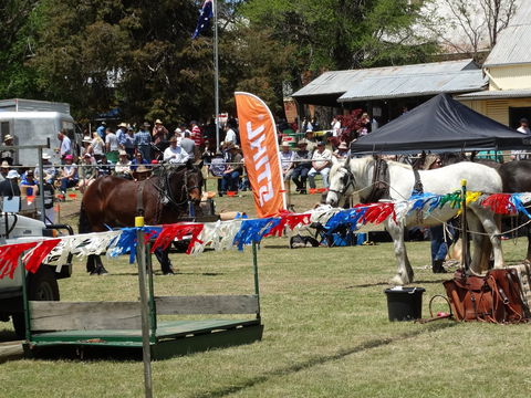 Carcoar Show - Inverell Accommodation 0