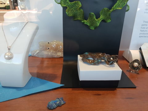 Cuttlefish Art Trail - Cuttlefest 2020 - Inverell Accommodation 1