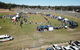 Dogs In The Park Swansea - thumb 0