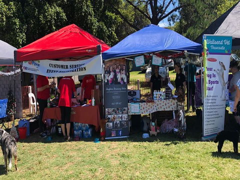 Dogs In The Park Swansea - Inverell Accommodation 1
