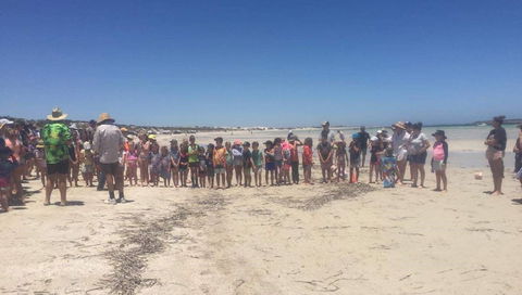 Perlubie Beach Sports Day - Inverell Accommodation 1