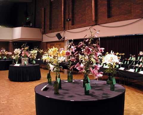 Burnie Lilium Show - Inverell Accommodation 0