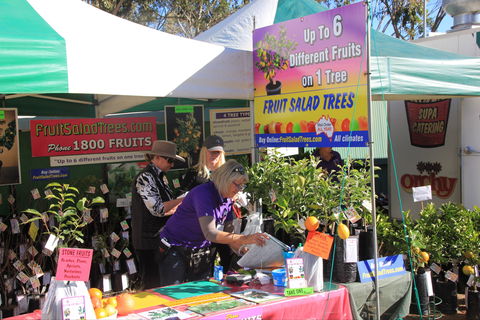 CRT FarmFest - Inverell Accommodation 2