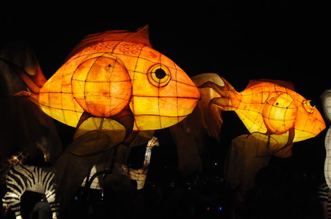 DREAM Festival: Music And Markets Event - Inverell Accommodation 2