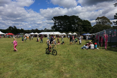 Majors Creek Festival - Inverell Accommodation 0