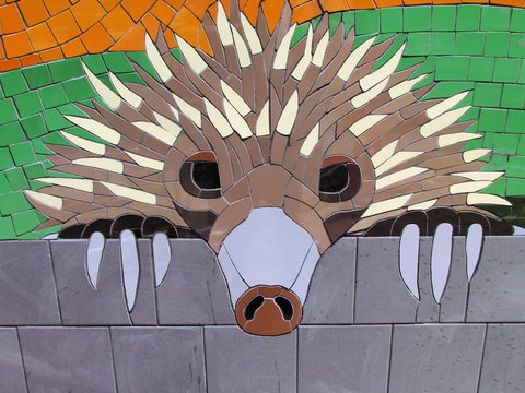 SALA 2020 - Colour Our World - Inverell Accommodation 0