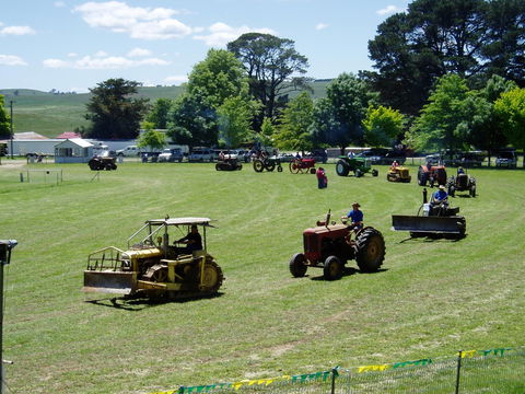 Southern Tablelands Vintage Farm Field Days - Inverell Accommodation 2