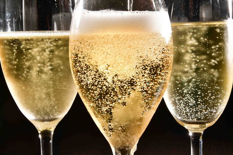 Sparkling Sydney - Inverell Accommodation 2