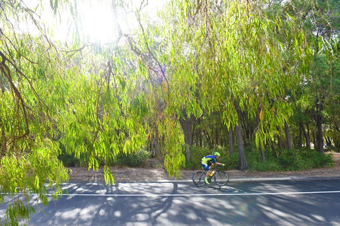 SunSmart FunMan Triathlon - Inverell Accommodation 0