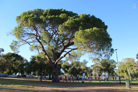 Wagga Parkrun - Inverell Accommodation 1
