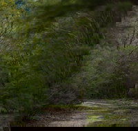 Yering Gorge Cottages - Inverell Accommodation