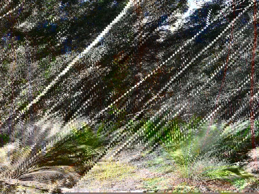 Turlinjah NSW Inverell Accommodation