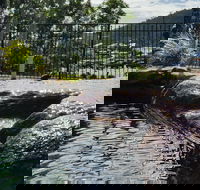 Colonial Palms Motor Inn - Inverell Accommodation