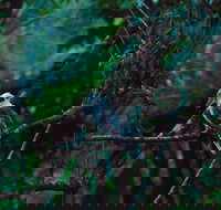 Broken River Mountain Resort - Inverell Accommodation