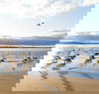 El Paso Motor Inn - Inverell Accommodation