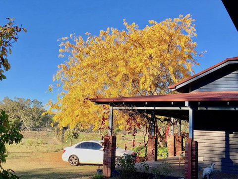 Acheron Valley Country Estate - Inverell Accommodation 3