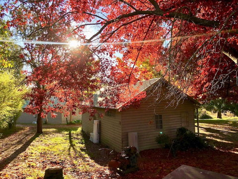 Acheron Valley Country Estate - Inverell Accommodation 5