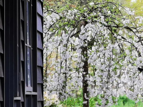 Acheron Valley Country Estate - Inverell Accommodation 1