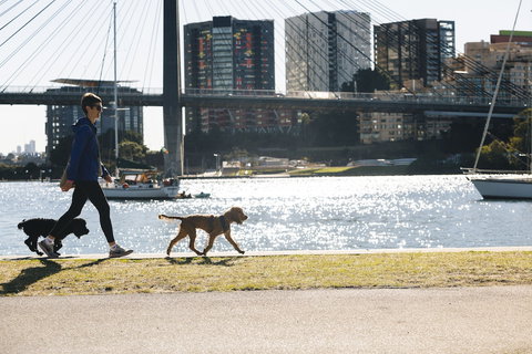 Haven Glebe - Inverell Accommodation 0