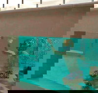 Novotel Brisbane Airport - Inverell Accommodation